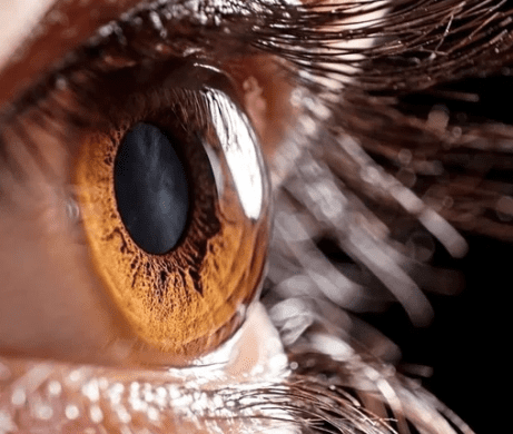 dr manpreet global eye hospital